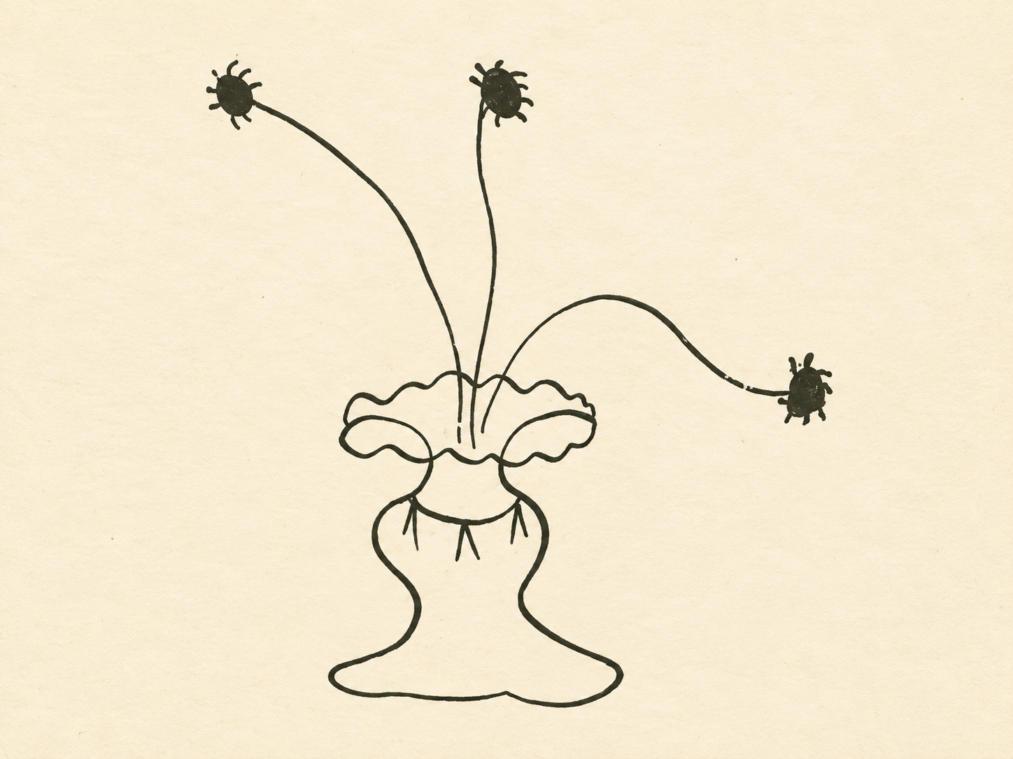 Illustrazione di un vaso con tre steli, disegnata a mano